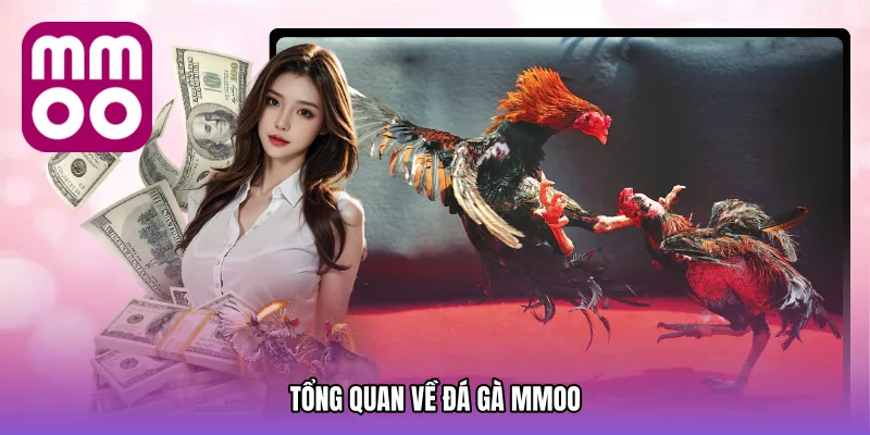 Đá Gà MMOO - Điểm Đến Giải Trí Tuyệt Vời Với Chiến Kê
